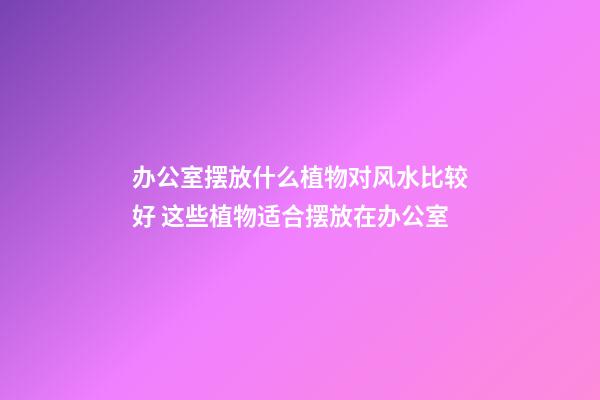 办公室摆放什么植物对风水比较好 这些植物适合摆放在办公室